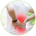 1 Lower back pain
